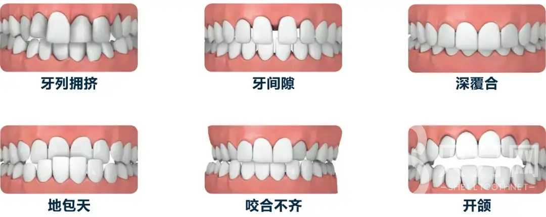 微信圖片_20221112152953.png